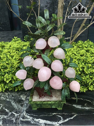 Cây Đào 12 Quả Đá Thạch Anh Hồng Cao 60 Ngang 42 Sâu 19 (cm) 8,1kg