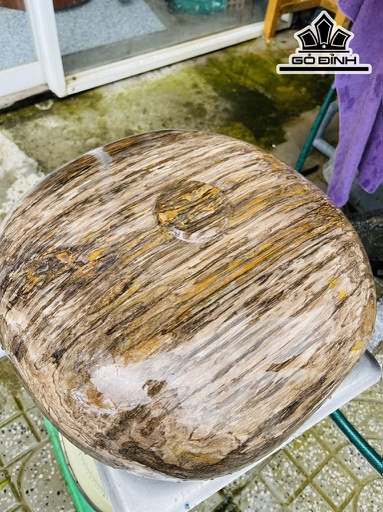 Tác Phẩm Chum Phú Quý Gỗ Thủy Tùng Hóa Thạch Cao 36 Ngang 16 (cm) 36kg