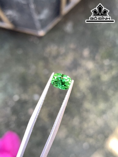 Viên Đá Tourmaline Cao 6,1 Ngang 4,7 Sâu 4,2 (mm)  0,85cts