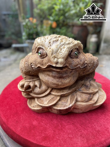 Tượng Thiềm Thừ Gỗ Nu Ngọc Am Cao 23 Ngang 33 Sâu 27 (cm)