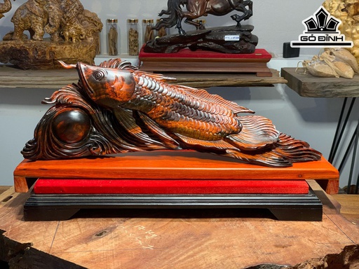 Tượng Cá Kim Long Gỗ Trắc Cao 18 Ngang 50 Sâu 10 (cm)