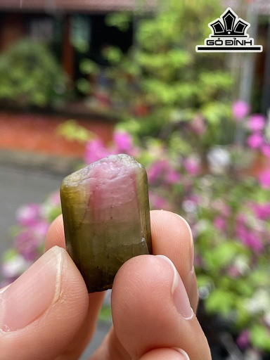 Mặt Dây Chuyền Đá Tourmaline Cao 15 (mm)