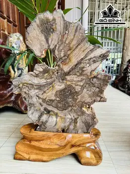 Tác Phẩm Khúc Gỗ Hóa Thạch Xẻ Lát Dáng Bonsai Cao 58 Ngang 40 (cm) 20kg