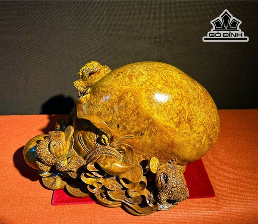 Tượng Tam Cóc Ngậm Tiền Gỗ Nu Hương Cao 30 Ngang 50 Sâu 40 (cm)