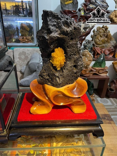 Bông Hoa Ưu Đàm Đá Trầm Tích Cao 41 (cm) 10kg