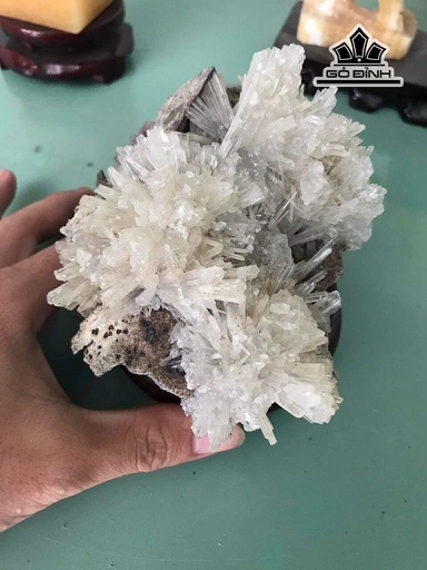 Bông Hoa Ưu Đàm Đá Trầm Tích Cao 12 (cm)