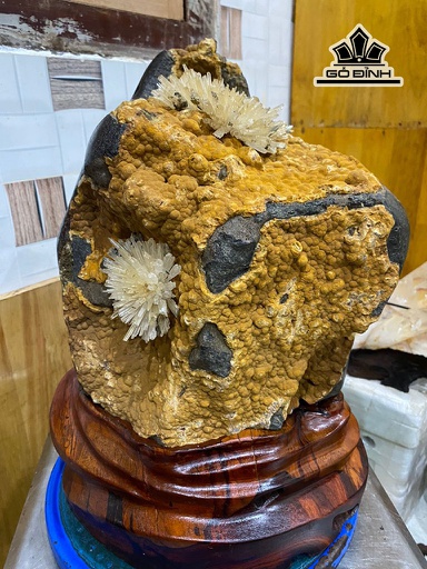 Bông Hoa Ưu Đàm Đá Trầm Tích Cao 36 Riêng Hoa Cao 11 Và 8 (cm) 17,6kg