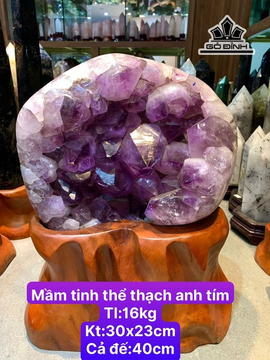 Tác Phẩm Mầm Tinh Thể Đá Thạch Anh Tím Cao 40 Ngang 23 Riêng Đá Cao 30 (cm) 16kg