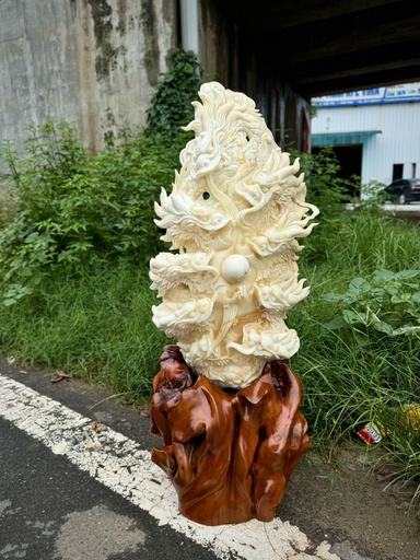 Tác Phẩm Cửu Long Tranh Châu Vỏ Sò Hóa Thạch Cao 82 Ngang 45 (cm) 26kg