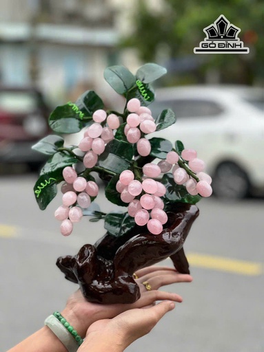 Cây Nho Đá Thạch Anh Cao 35 Ngang 30 (cm)