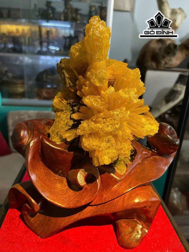 Bông Hoa Ưu Đàm Đá Trầm Tích Cao 20 (cm) 1,7kg