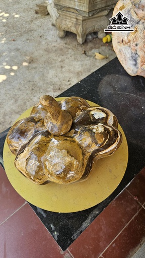 Trái Bí Đá Canxedon Ngang 25 (cm) 6,5kg