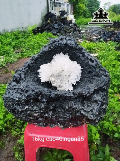 Bông Hoa Ưu Đàm Đá Trầm Tích Cao 40 Ngang 35 (cm) 16kg