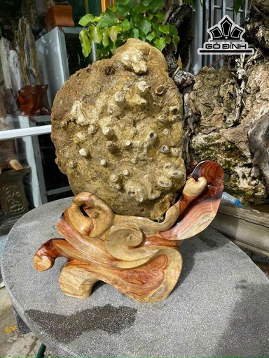 Tác Phẩm Bụi Le Gỗ Hóa Thạch Cao 60 (cm) 20kg