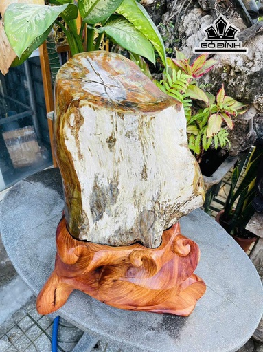 Tác Phẩm Gỗ Hóa Ngọc Cao 65 Ngang 32 (cm) 48kg