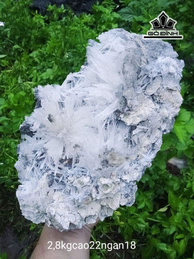 Bông Hoa Ưu Đàm Đá Trầm Tích Cao 22 Ngang 18 (cm) 2,8kg