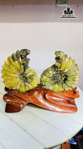 Tác Phẩm Ốc Anh Vũ Hóa Ngọc Cao 17 Ngang 22 (cm) 1,4kg