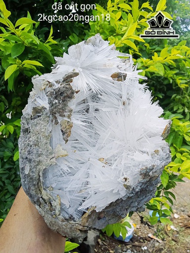 Bông Hoa Ưu Đàm Đá Trầm Tích Cao 20 Ngang 18 (cm) 2kg