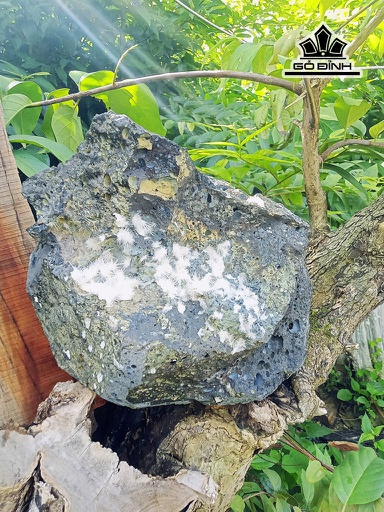 Bông Hoa Ưu Đàm Đá Trầm Tích Cao 27 Ngang 32 (cm) 13kg