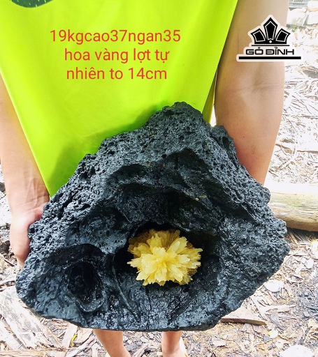 Bông Hoa Ưu Đàm Đá Trầm Tích Cao 37 Ngang 35 Riêng Hoa To 14 (cm) 19kg