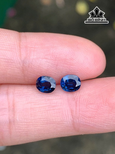 Đôi Bông Đá Sapphire Đường Kính 5,3 (mm) 1,23cts