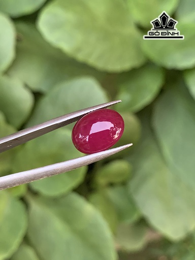 Viên Đá Ruby Cao 11,1 Ngang 8,3 Sâu 3,5 (mm) 3,35cts