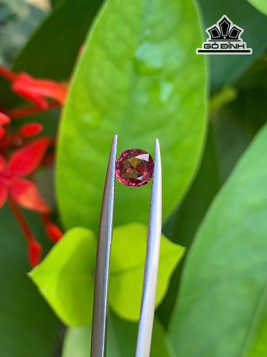 Viên Đá Garnet 0,55cts