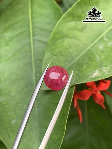 Viên Đá Ruby Cao 10,3 Ngang 9,6 Sâu 4,5 (mm) 5,10cts