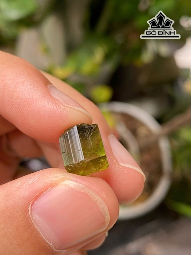 Viên Đá Tourmaline 7,40cts