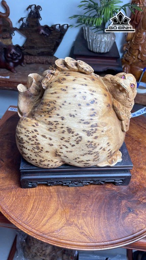 Tượng Thiềm Thừ Gỗ Nu Ngọc Am Cao 20 Ngang 27 Sâu 25 (cm)