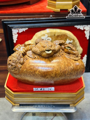 Tượng Tam Cóc Ngậm Tiền Gỗ Nu Ngọc Am Cao 34 Ngang 36 Sâu 26 (cm)