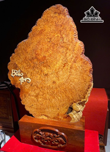 Phách Gỗ Nu Hương Cao 128 Rộng 85 Dày 6 (cm)