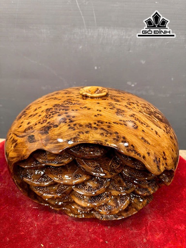 Bị Tiền Phú Quý Gỗ Nu Ngọc Am Cao 21 Ngang 35 Sâu 32 (cm) - 10,5kg