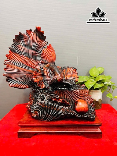 Tượng Cá Xiêm Gỗ Trắc Cao 52 Ngang 44 Sâu 28 (cm)