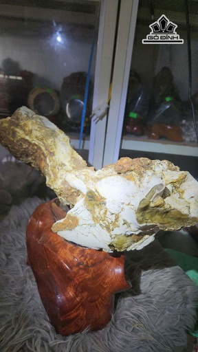 Tác Phẩm Gỗ Hóa Ngọc Cao 46 Ngang 30 (cm) 8kg