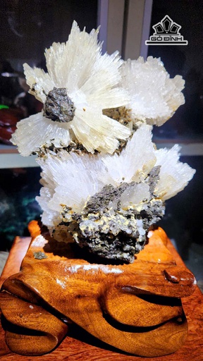 Tác Phẩm Hoa Ưu Đàm Đá Trầm Tích Cao 30 Ngang 20 (cm) 3,4kg