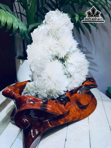 Tác Phẩm Hoa Ưu Đàm Đá Trầm Tích Cao 26 Ngang 19 (cm) 3,7kg