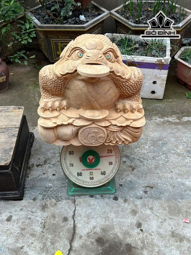 Tượng Cóc Ngậm Tiền Gỗ Ngọc Am Cao 39 Ngang 45 Sâu 45 (cm)