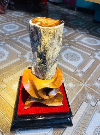 Tác Phẩm Gỗ Hóa Thạch Cao 55 (cm) 2,3kg