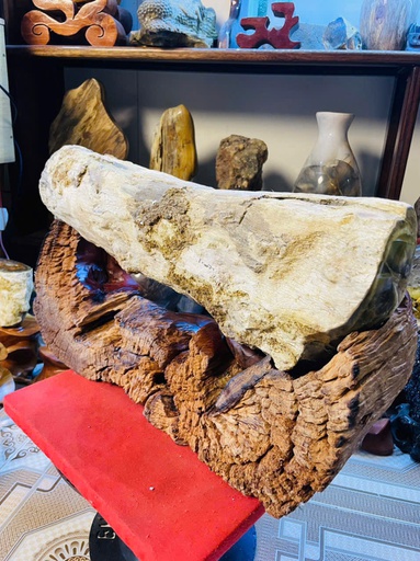 Tác Phẩm Gỗ Hóa Thạch Cao Cả Đế 43 Ngang 27 (cm) 14kg