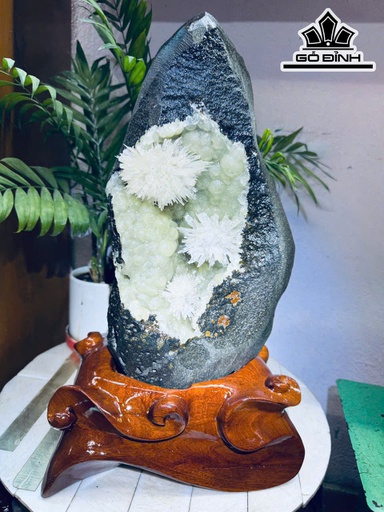 Tác Phẩm Đá Trầm Tích Cao 40 Ngang 18 (cm) 11kg