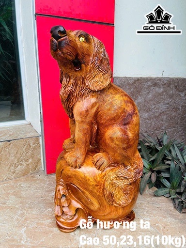 Tượng Chó Gỗ Hương Cao 50 Ngang 23 Sâu 16 (cm)