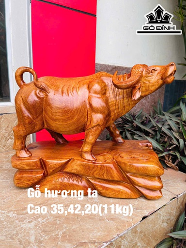 Tượng Trâu Gỗ Hương Cao 35 Ngang 42 Sâu 20 (cm) - 11kg