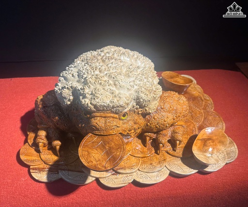 Tượng Cóc Ngậm Tiền Gỗ Nu Hương Cao 26 Ngang 60 Sâu 44 (cm)