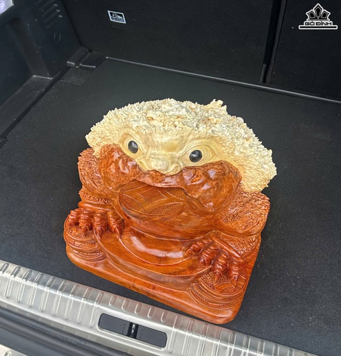 Tượng Cóc Ngậm Tiền Gỗ Nu Hương Cao 38 Ngang 38 Sâu 36 (cm)