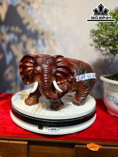 Tượng Voi Gỗ Trắc Cao 28 Ngang 12 Sâu 10 (cm)