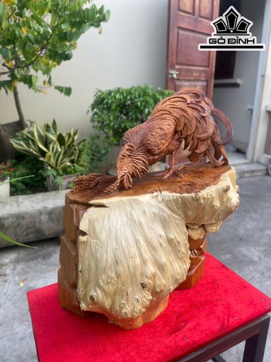 Tượng Gà Trống Gỗ Nu Ngọc Am Cao 57 Ngang 48 Sâu 30 (cm)