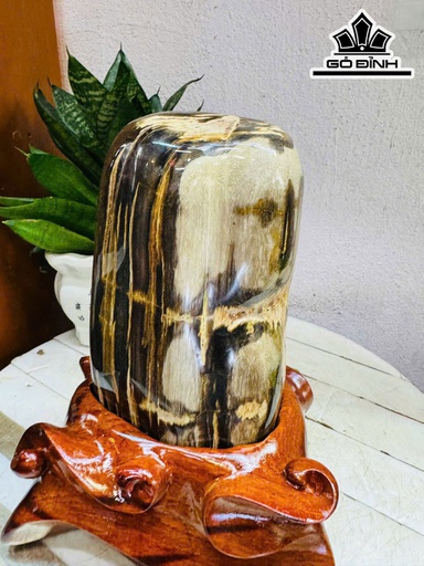 Tác Phẩm Gỗ Hóa Thạch Cao 25 Ngang 12 (cm) Nặng 3kg