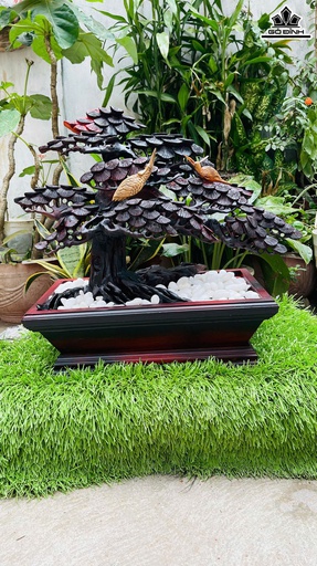 Chậu Tùng Hạc Gỗ Trắc Cao 46 Ngang 54 Sâu 24 (cm)