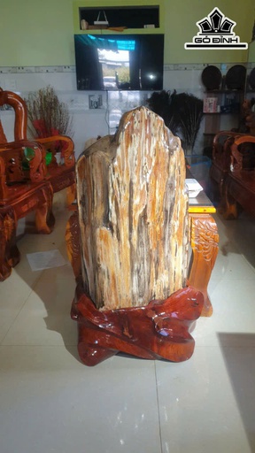 Cây Gỗ Hóa Thạch Cao 92 Ngang 45 (cm) - 110kg